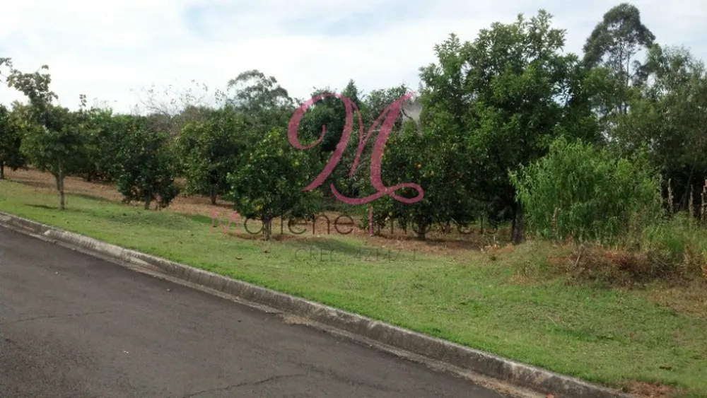 Terreno - Foto 6