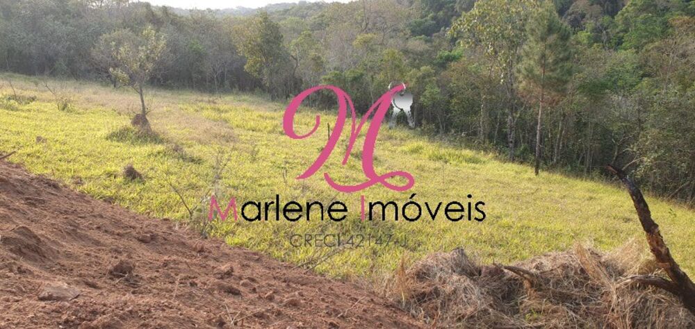 Terreno, 1300 m² - Foto 3