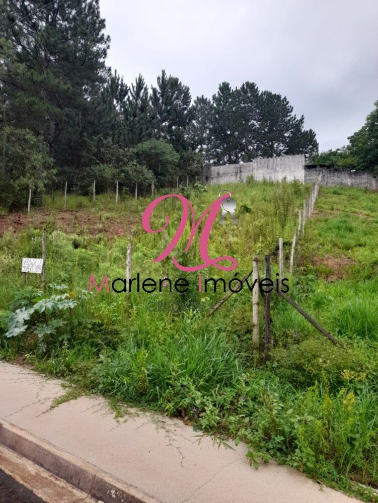 Terreno, 501 m² - Foto 5