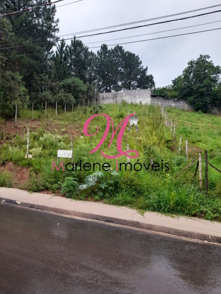 Terreno, 501 m² - Foto 3