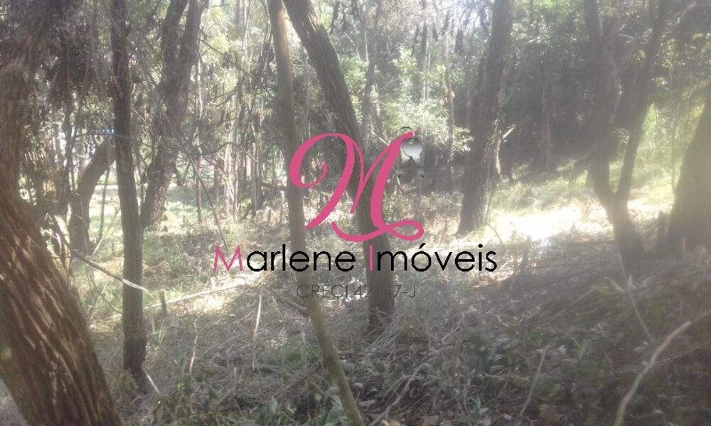 Terreno, 5405 m² - Foto 2