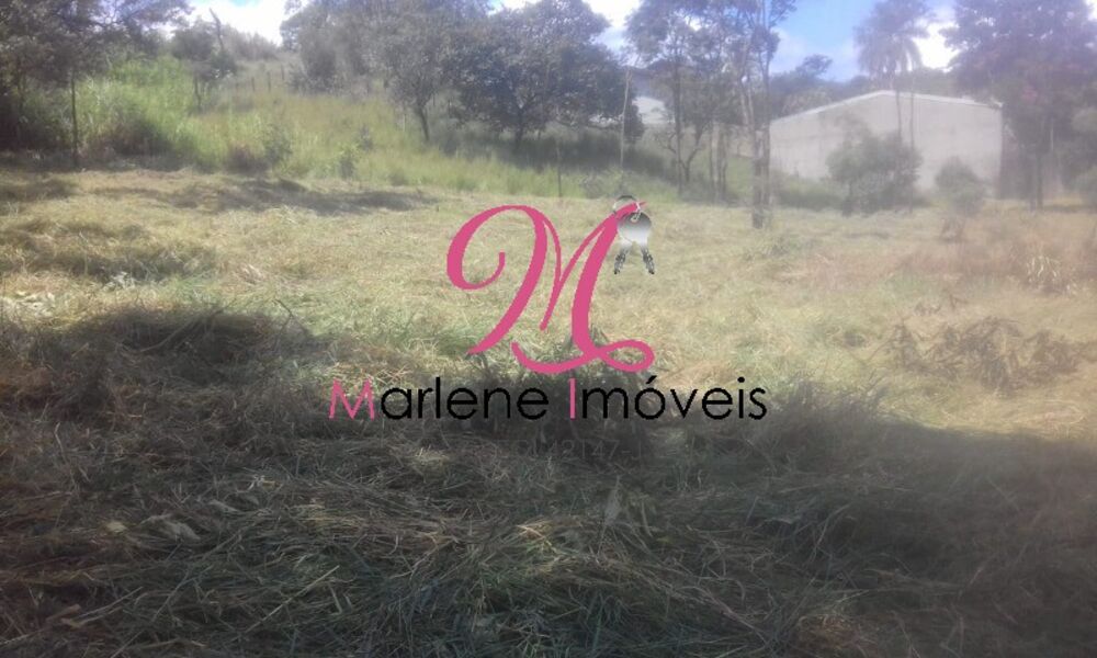 Terreno, 5405 m² - Foto 4