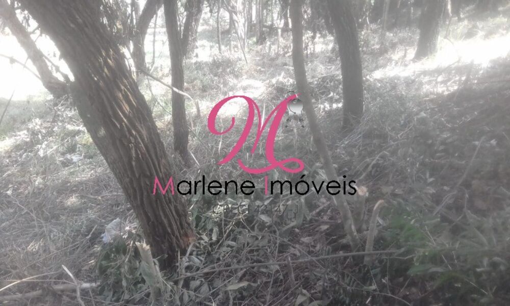 Terreno, 5405 m² - Foto 3