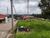 Terreno, 300 m² - Foto 5