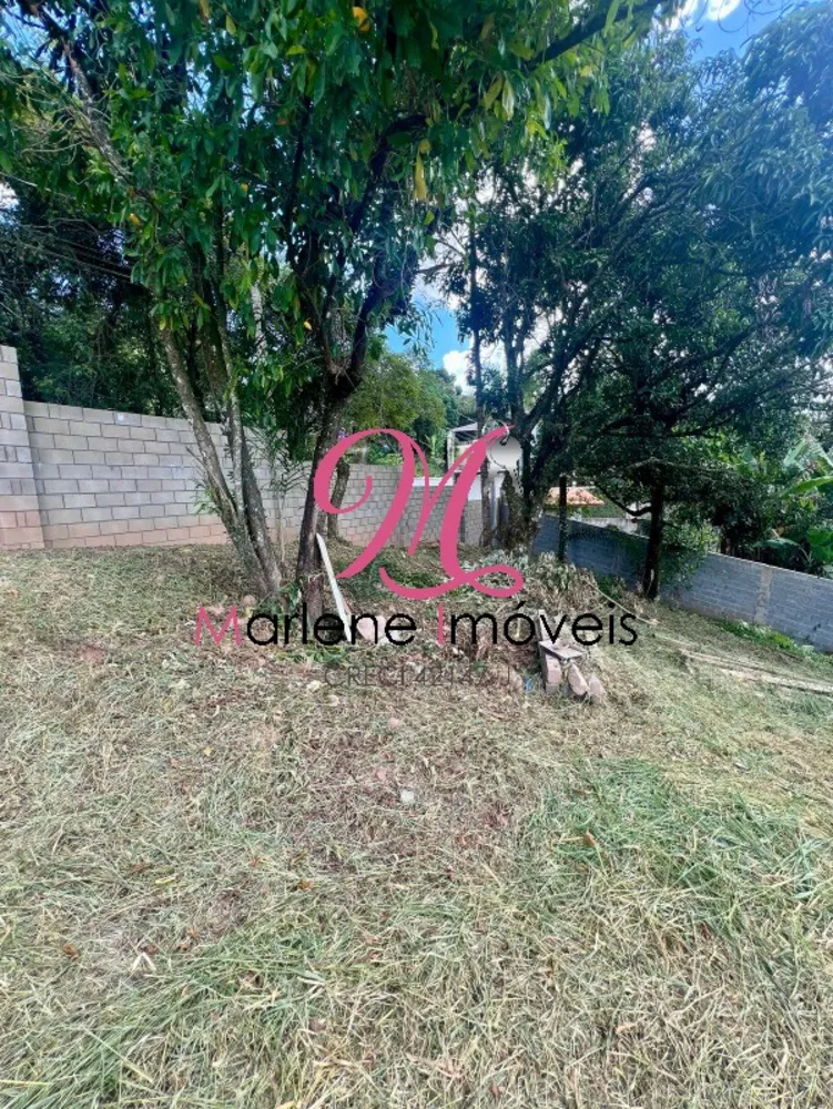 Terreno - Foto 4