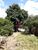Terreno, 1062 m² - Foto 1