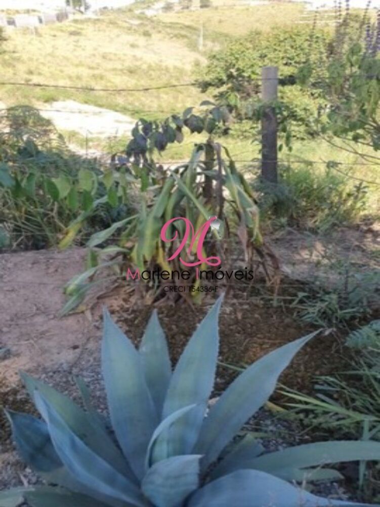 Terreno, 2341 m² - Foto 1