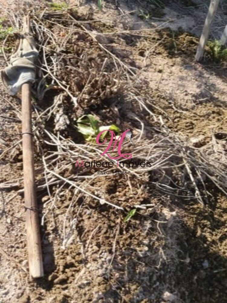 Terreno, 2341 m² - Foto 3