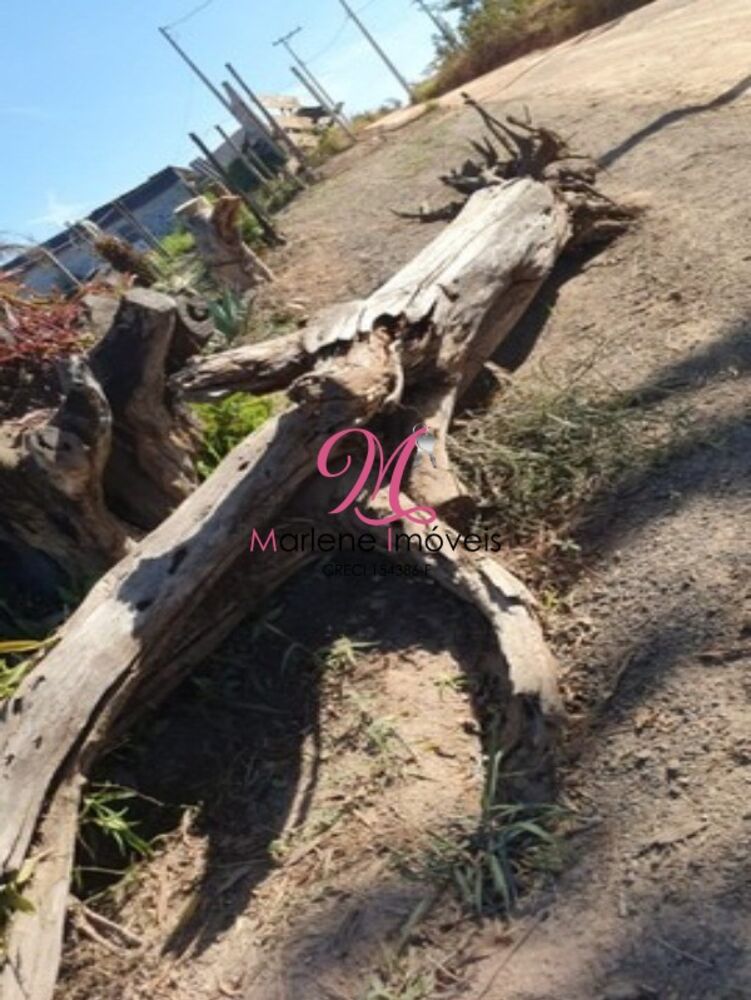 Terreno, 2341 m² - Foto 6