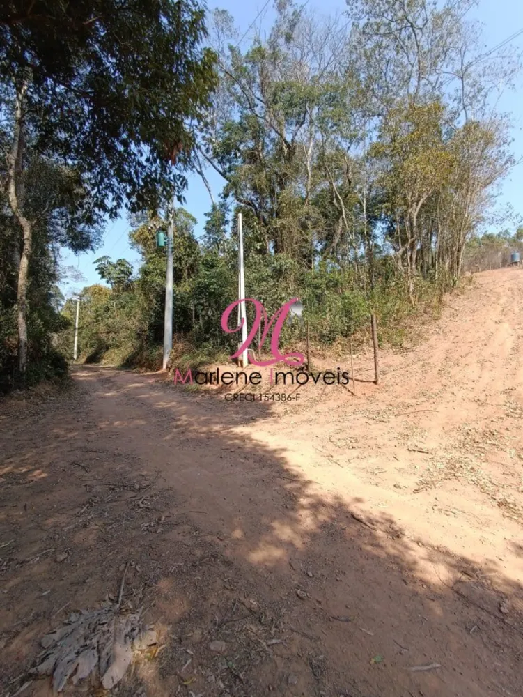 Terreno, 10000 m² - Foto 3