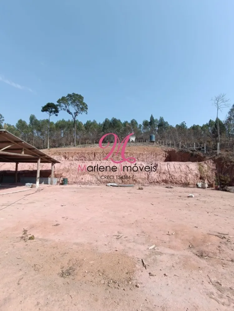 Terreno, 10000 m² - Foto 10