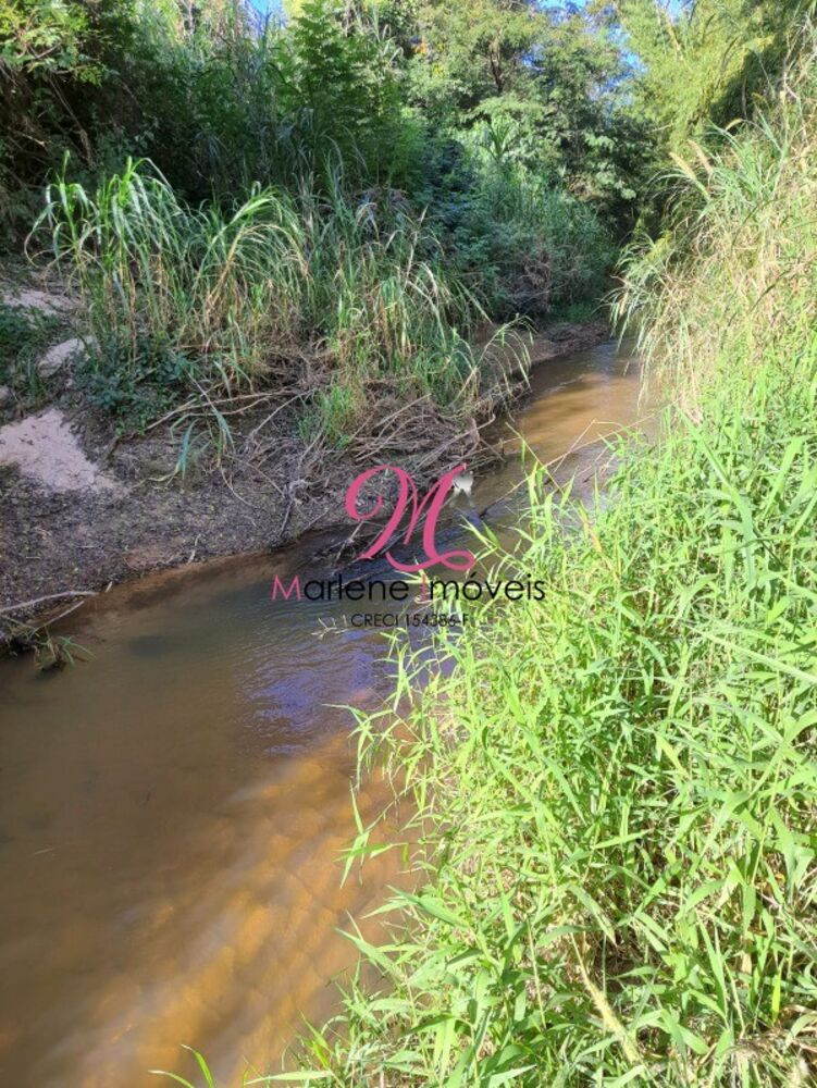 Sítio à venda - Foto 2