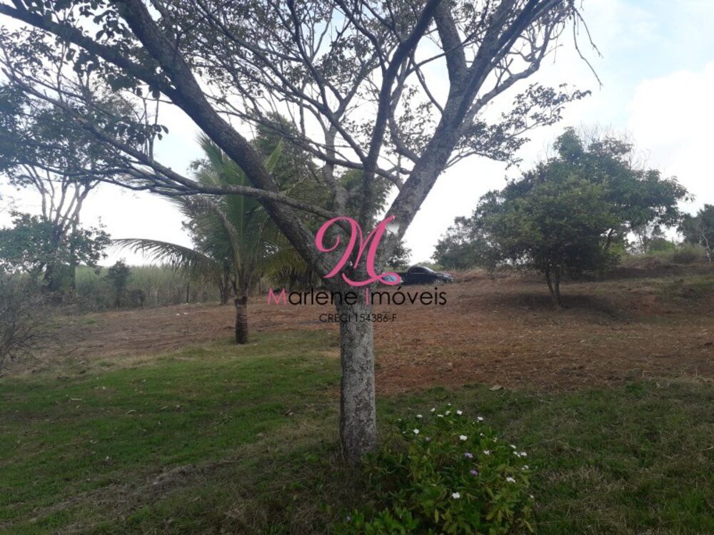 Sítio à venda - Foto 19