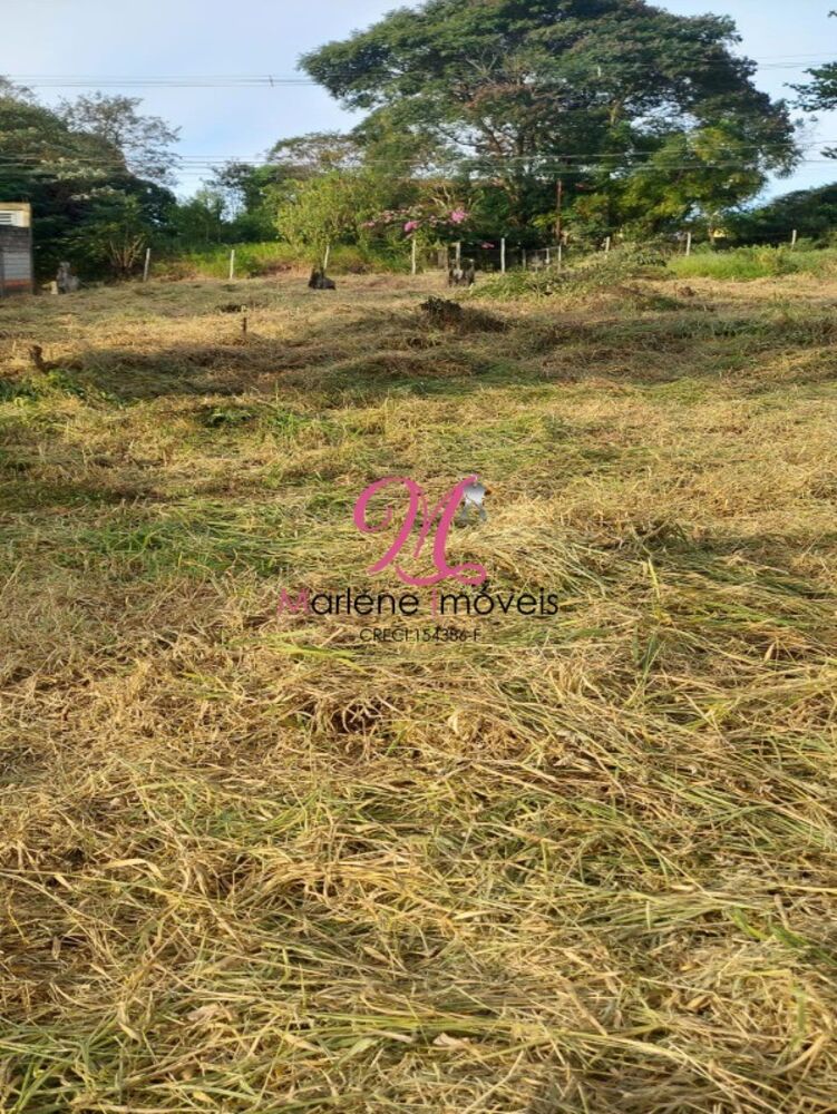 Terreno, 1000 m² - Foto 3