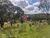 Terreno, 1000 m² - Foto 1