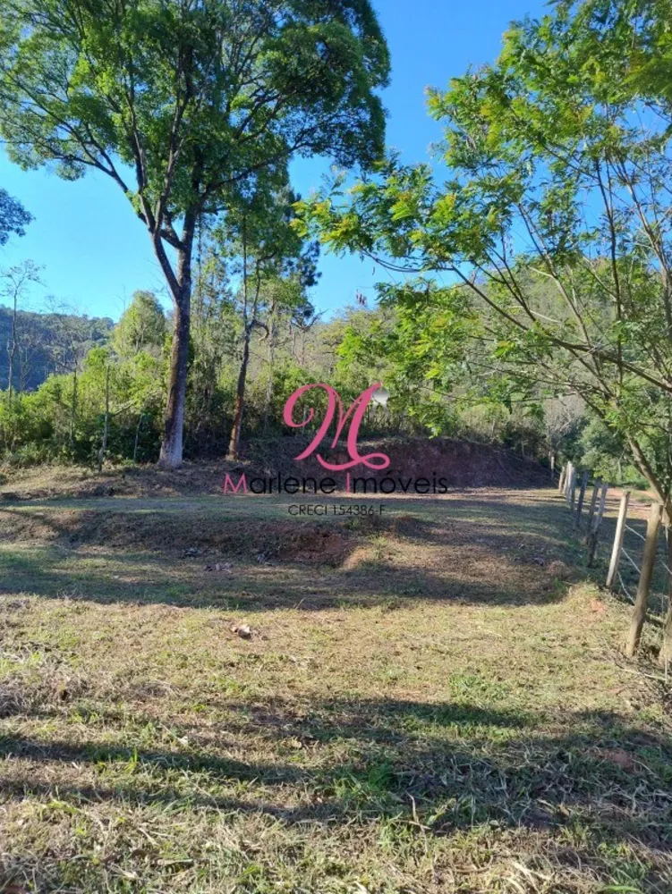 Terreno, 5043 m² - Foto 6