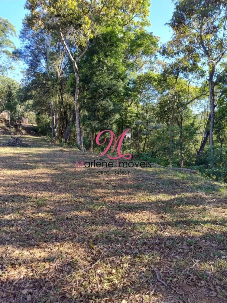 Terreno, 5043 m² - Foto 12