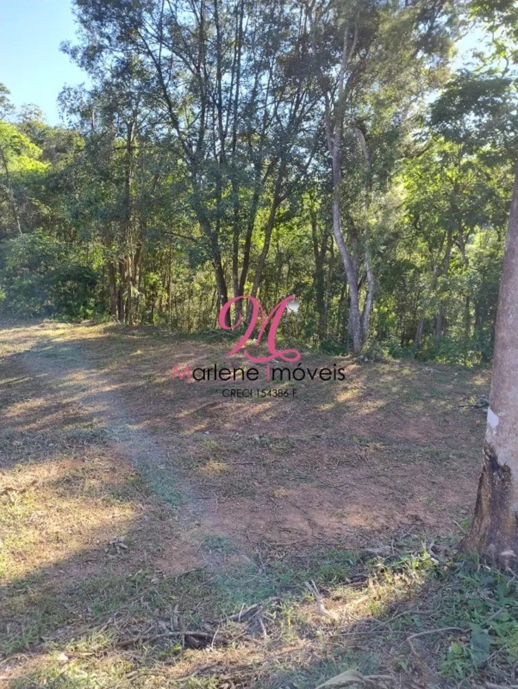 Terreno, 5043 m² - Foto 1
