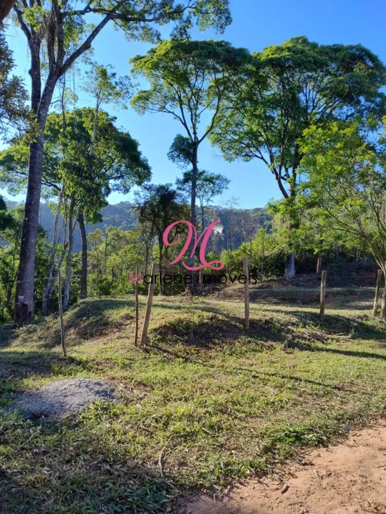 Terreno, 5043 m² - Foto 3
