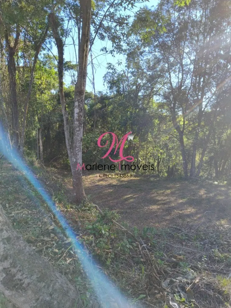 Terreno, 5043 m² - Foto 9