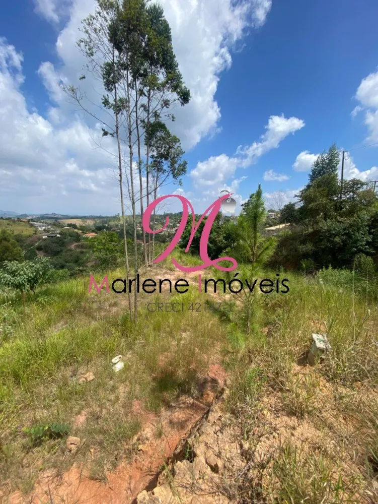 Terreno - Foto 4