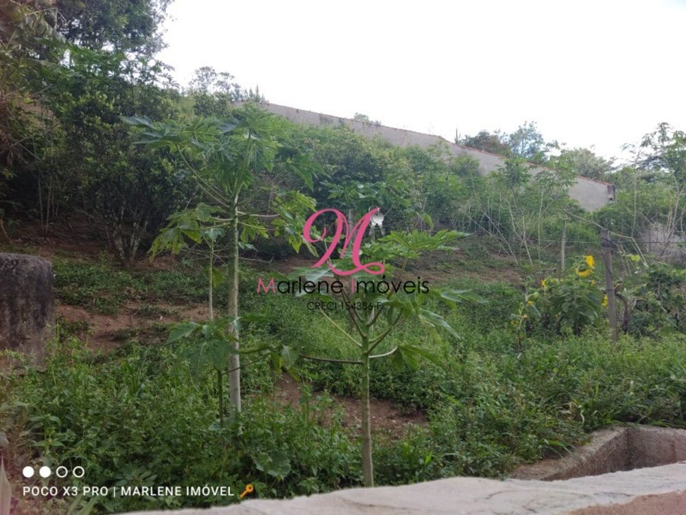 Chácara, 3 quartos - Foto 31