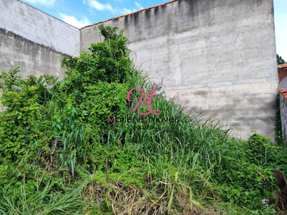 Terreno, 250 m² - Foto 1