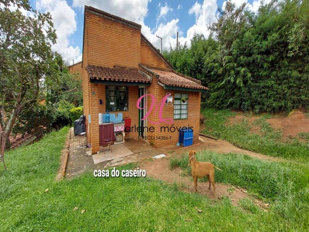 Chácara, 6 quartos - Foto 3