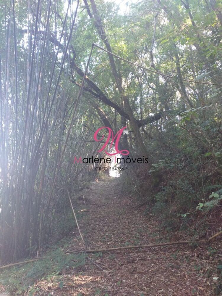 Terreno, 1300 m² - Foto 7