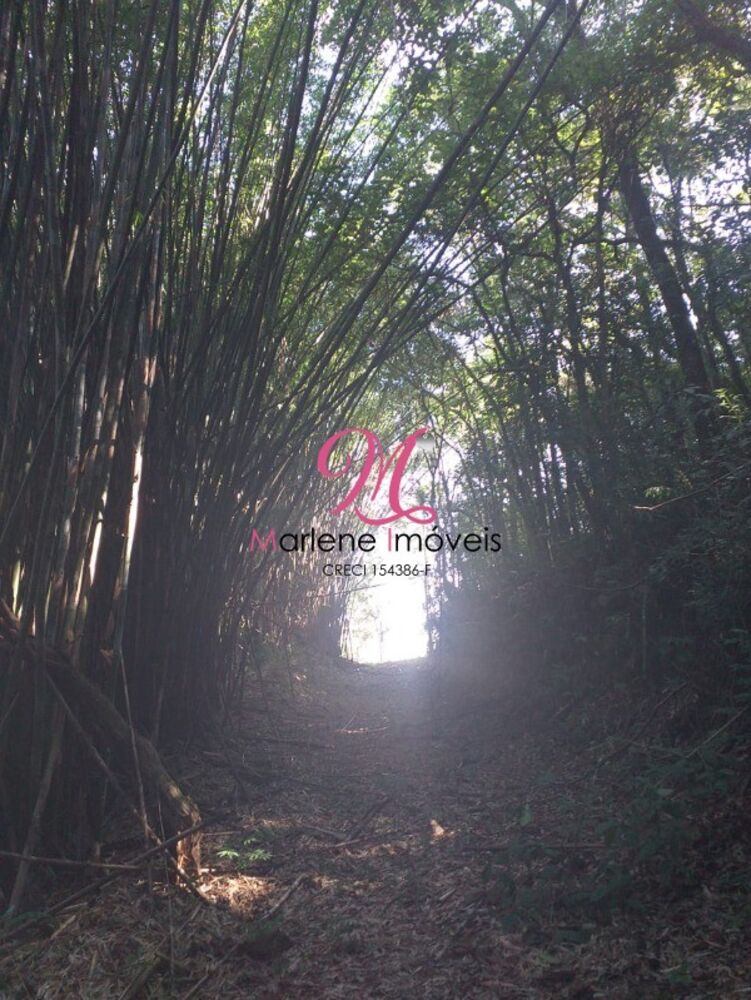 Terreno, 1300 m² - Foto 6