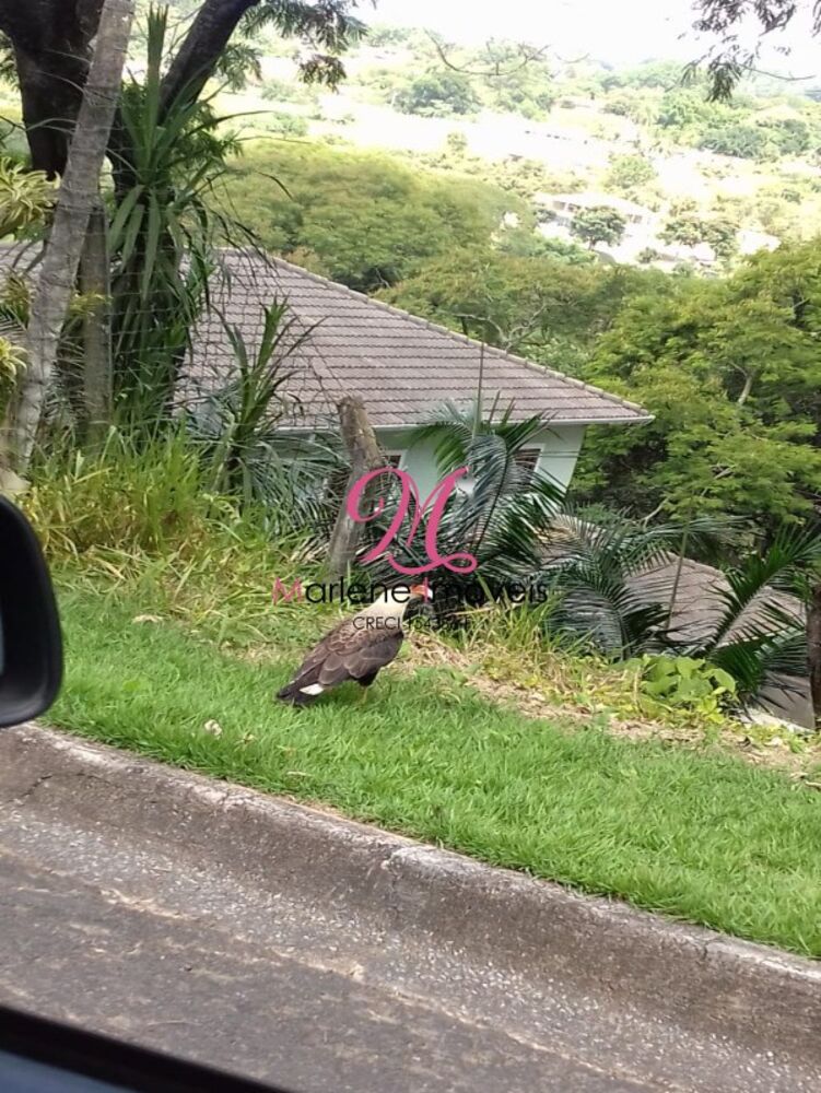 Terreno, 1300 m² - Foto 5