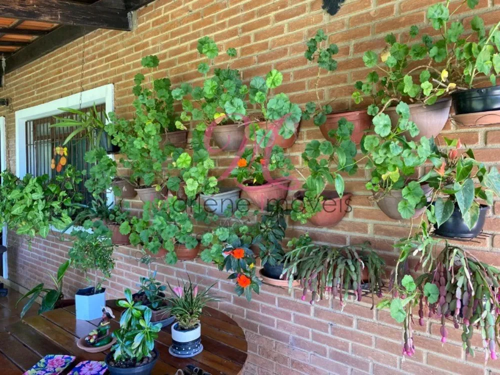 Chácara, 3 quartos - Foto 8