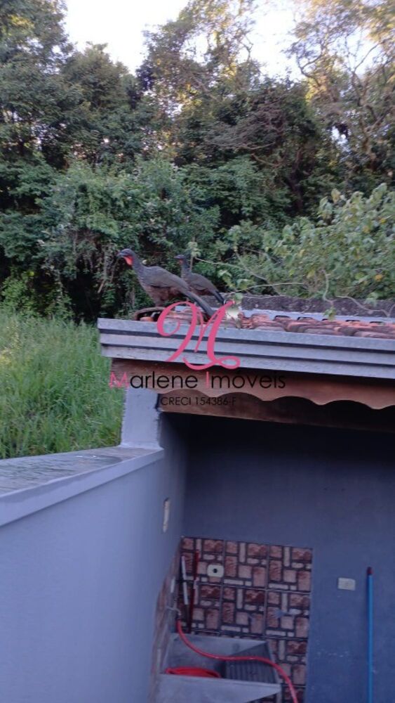 Casa, 3 quartos - Foto 19