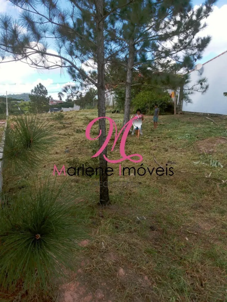 Terreno - Foto 1