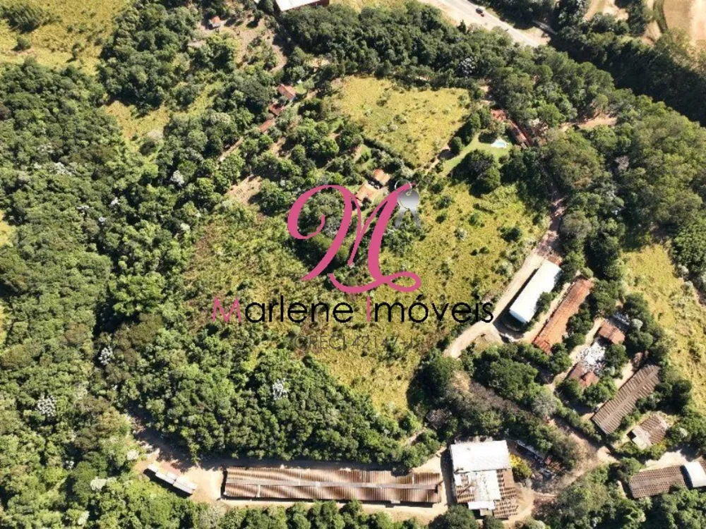 Terreno - Foto 6