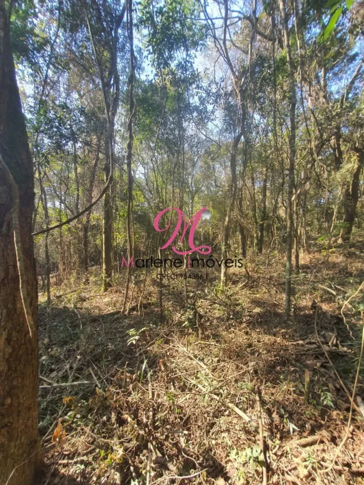 Terreno, 1582 m² - Foto 8