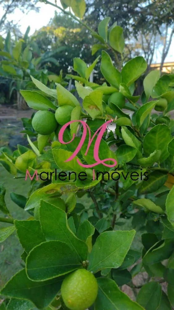 Chácara, 2 quartos - Foto 12