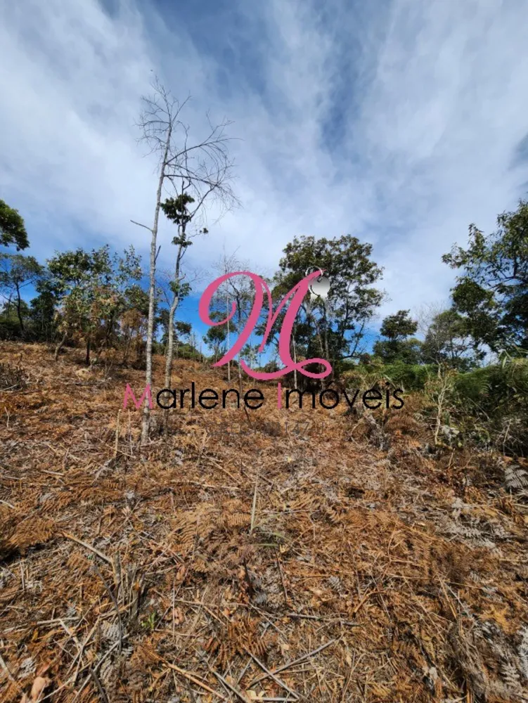 Terreno - Foto 1