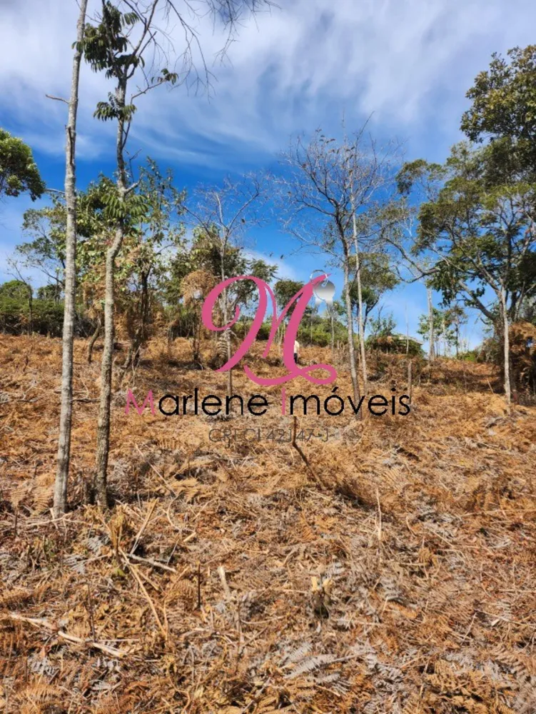 Terreno - Foto 6