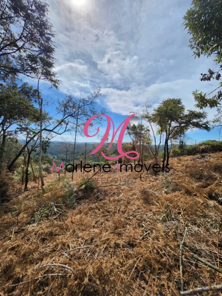 Terreno - Foto 4