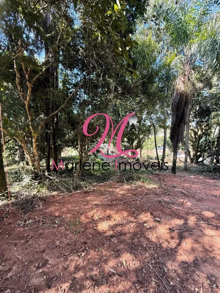 Terreno - Foto 7