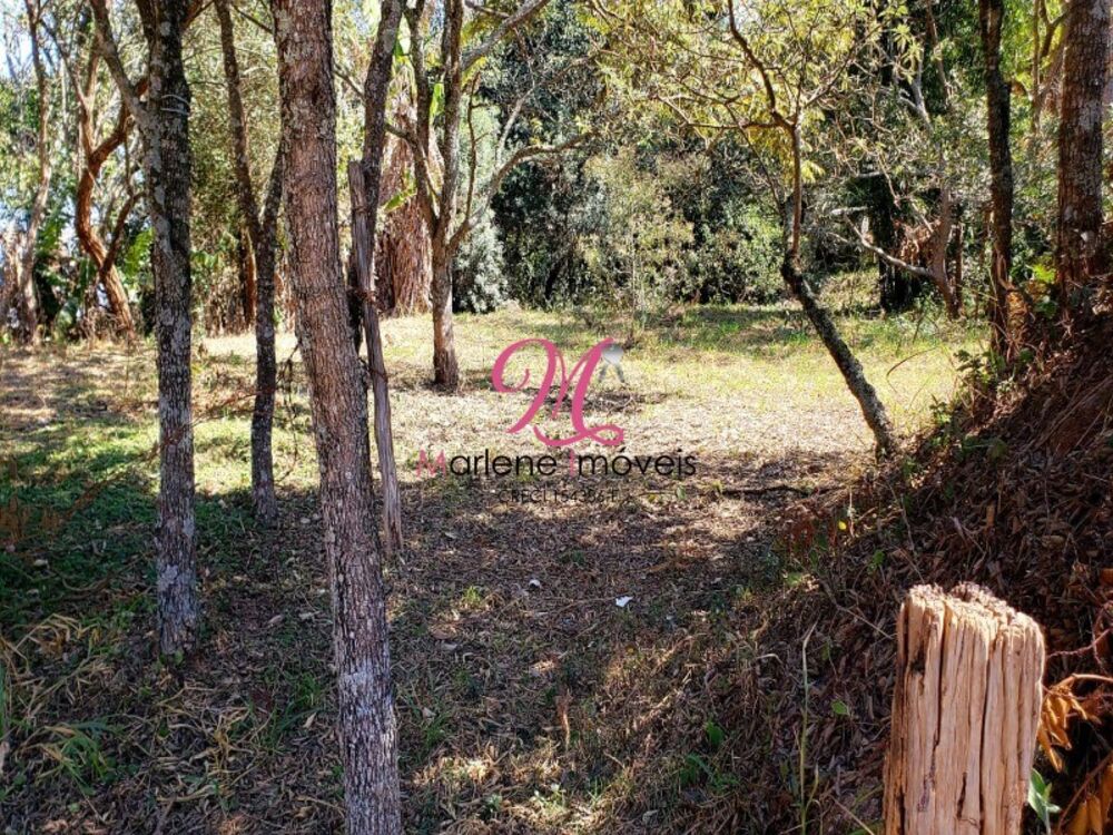 Loteamento e Condomínio, 1000 m² - Foto 7