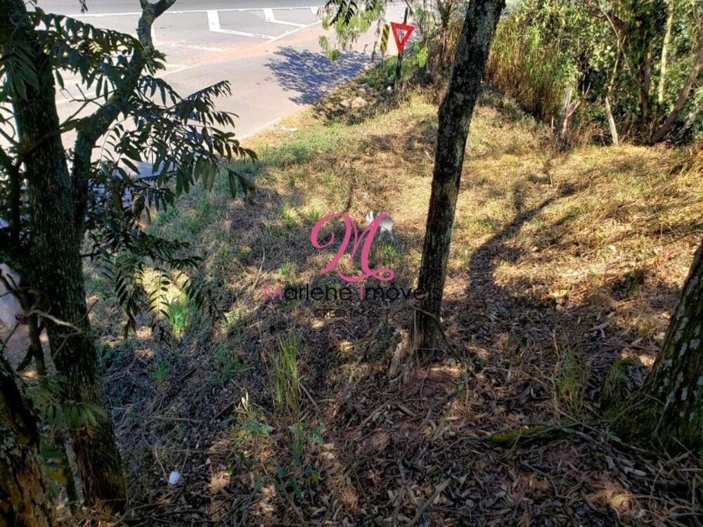 Loteamento e Condomínio, 1000 m² - Foto 5