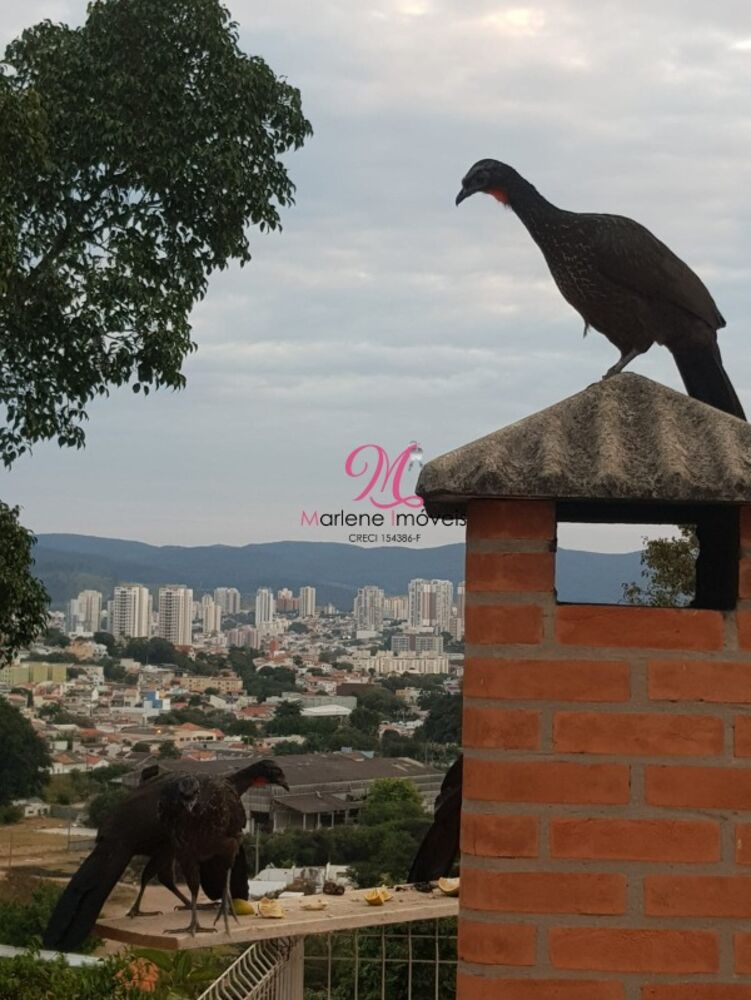 Casa, 4 quartos - Foto 5