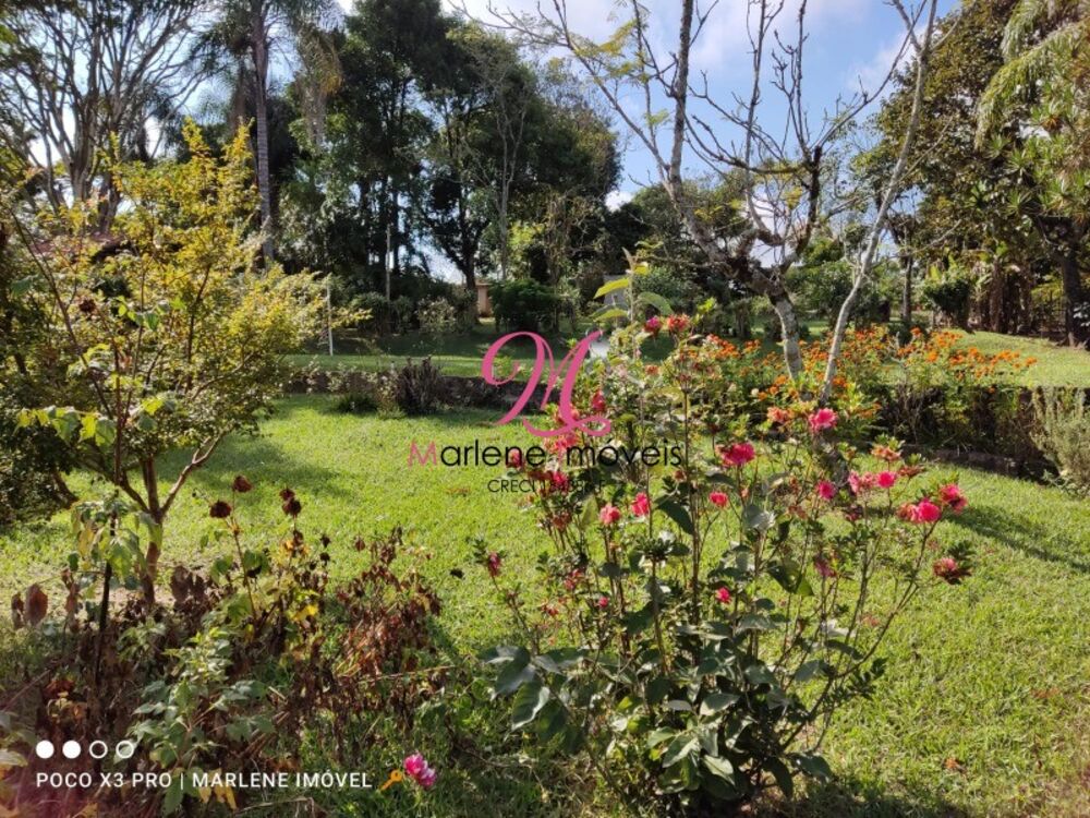 Terreno, 1000 m² - Foto 6