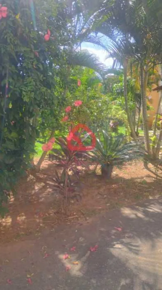 Apartamento, 2 quartos, 55 m² - Foto 25