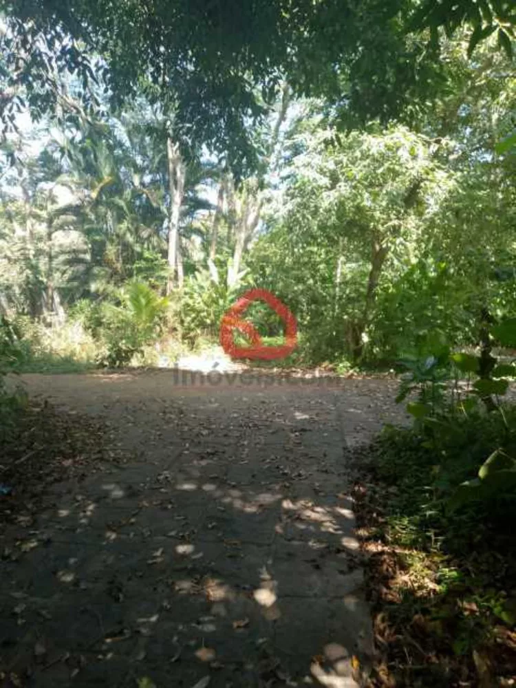 Terreno, 4000 m² - Foto 6