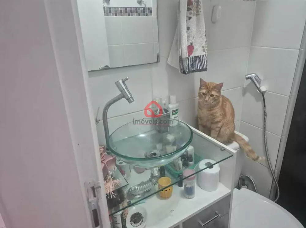 Apartamento, 3 quartos, 52 m² - Foto 9