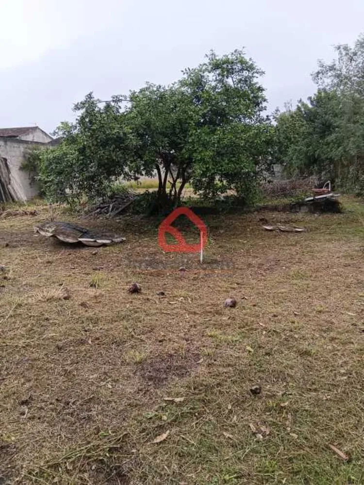 Terreno, 2 hectares - Foto 6