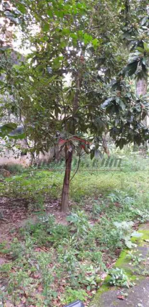 Terreno, 450 m² - Foto 3